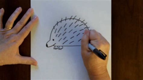 How To Draw A Cartoon Porcupine Simple Drawing Lesson For Kids Youtube