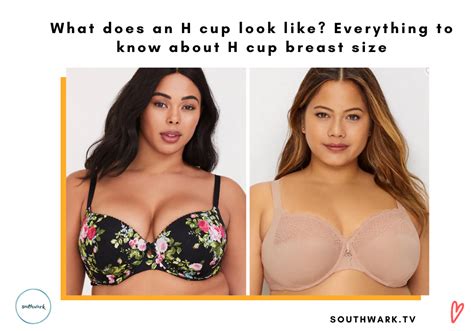 What Does An H Cup Look Like Everything To Know About H Cup Breast Size Southwark Tv
