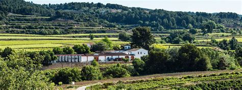 Celler Eudald Massana ⭐️ Book Tours And Tastings