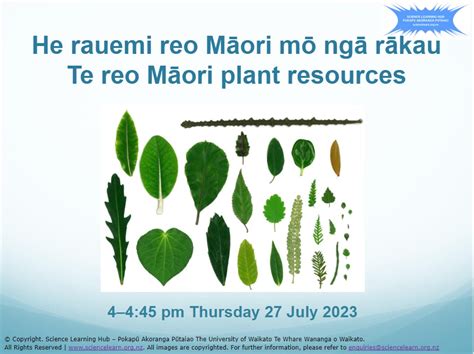 He Rauemi Reo Māori Mō Ngā Rākau Te Reo Māori Plant Resources
