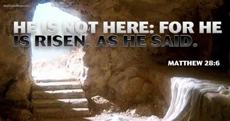 He Is Not Here For He Has Risen He Has Risen He Is Risen Sayings
