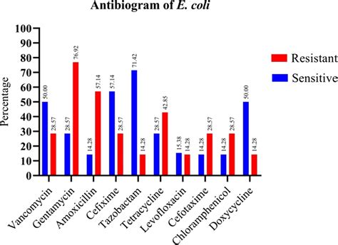 Antibiogram Of E Coli Isolated From Hospital Wastewater Samples