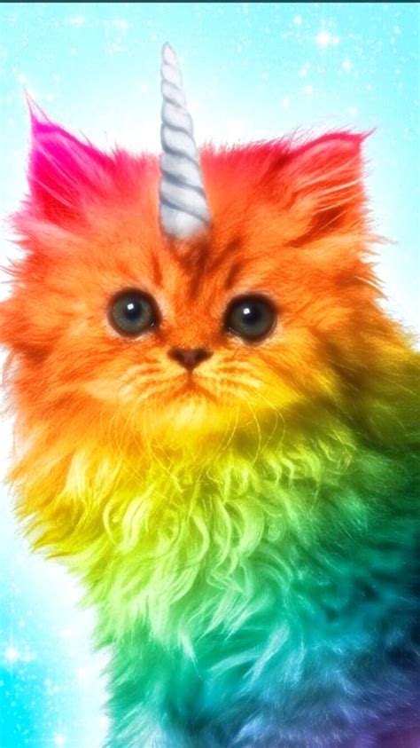 24 Best Rainbow Cats Images On Pinterest Cat Paintings Charity And