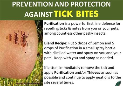 Tick Bite Prevention Alternative Earthcare