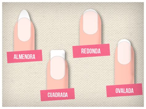 Diferentes Formas De Uñas Tips Actitudfem