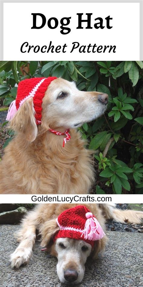 Dog Hat Crochet Pattern Crochet Dog Hat Crochet Dog Hat Free Pattern