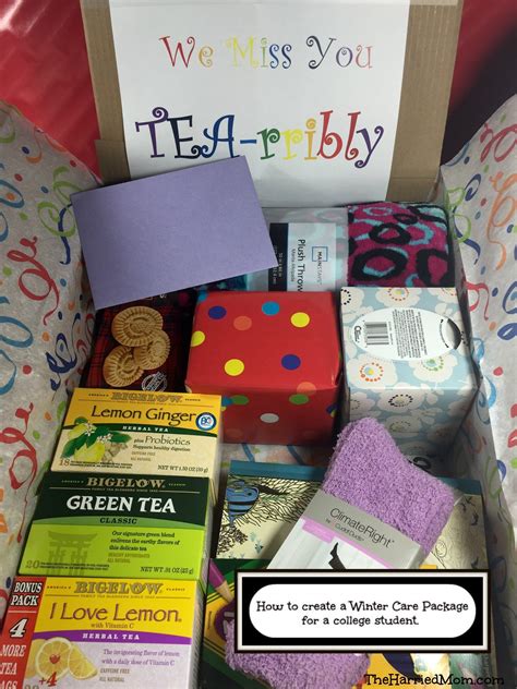 10 Amazing Ideas For Care Packages For College Students 2024