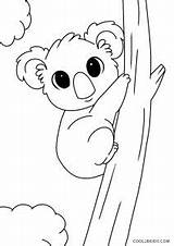 Koala Coloring Pages Kawaii Printable Kids sketch template