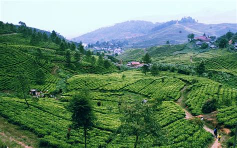 Area bekasi kawasan industri jababeka. Puncak Tourism