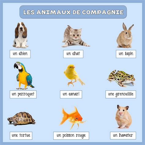Notre Blog De Français Les Animaux De Compagnie Vocabulaire