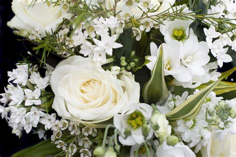 Close Up Of Elegant White Flower Arrangement 9094 Stockarch Free