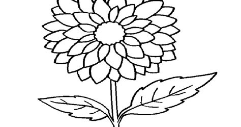 Daun daunan contoh kolase dari daun kering dan ranting4. 7 Sketsa Bunga Untuk Kolase - BLOG BONTANG