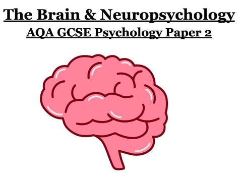 Aqa Gcse Psychology The Brain And Neuropsychology Full Topic