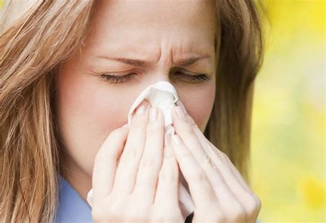 Tips For Allergy Sufferers Carolinejoy Blog