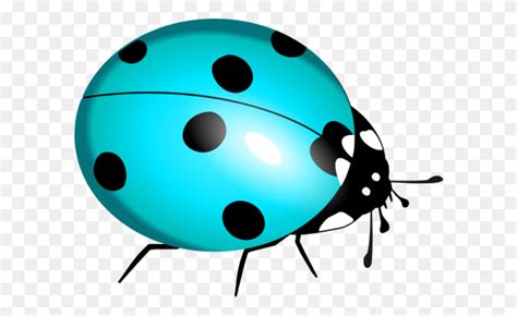 Blue Ladybug Clip Art At Clkercom Vector Online Royalty Clip Art Images