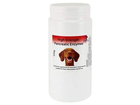 Vitamin supplements for dogs with pancreatitis. 500 Grams High Strength Pancreatic Enzyme Powder for Dogs ...