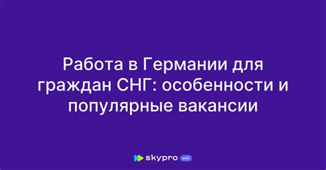 Работа в Германии для граждан СНГ: особенности и популярные вакансии