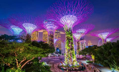 Singapore Supertrees And Skywalk In Gardens By The Bay Wayfarer