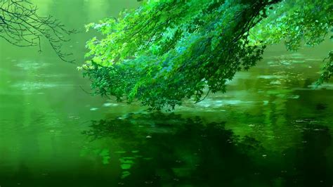 Green Leafed Plants Over Body Of Water Hd Wallpaper Wallpaper Flare