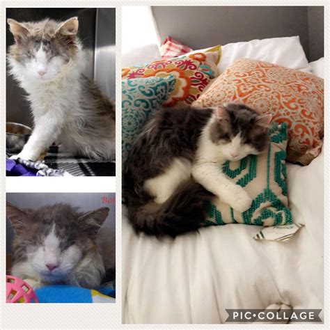 Fell in love with Eli in the first photo. Over a year later I am still