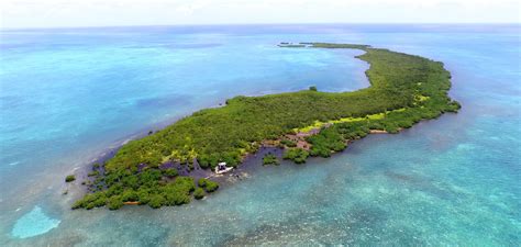 Crawl Caye Belize City Belize Central America Private Islands