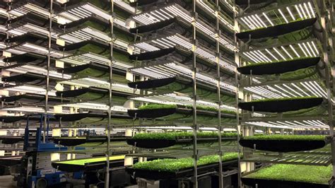 switzerland to launch its first robotic vertical farm in 2020