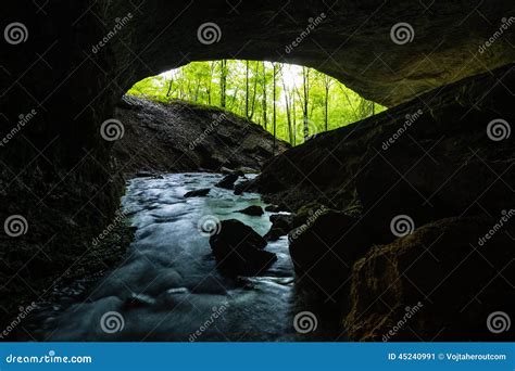 View From Dark Cave Into Green Forest Stock Image Image Of Dramatic