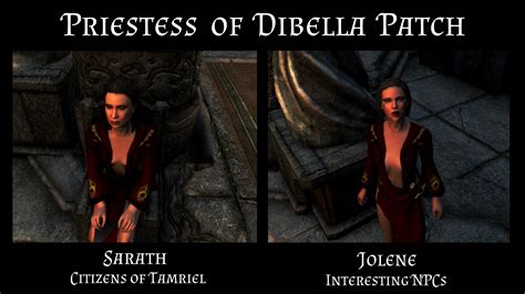 Priestess Of Dibella Patch For Interesting Npcs And Or Citizens Of Tamriel At Skyrim Special