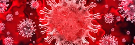 An official website of the national institutes of health. COVID-19