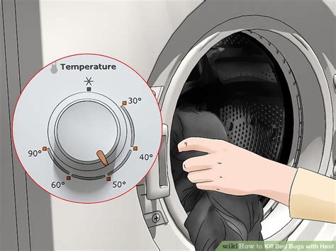 3 Ways To Kill Bed Bugs With Heat Wikihow Life