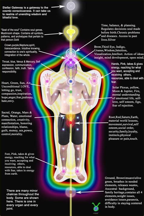 Which Way Do Chakras Spin Whichsa