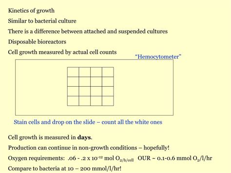 Maybe you would like to learn more about one of these? PPT - Animal Cell Culture PowerPoint Presentation, free ...