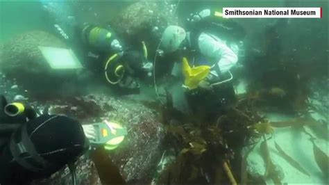 18th Century Portuguese Slave Ship Sao Jose Wreck Found Cnn