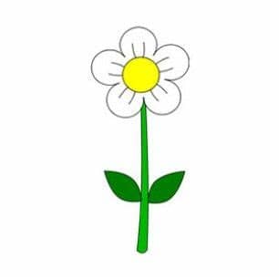 Gambar Bunga Kartun Sederhana Putih | Drawing lessons ...