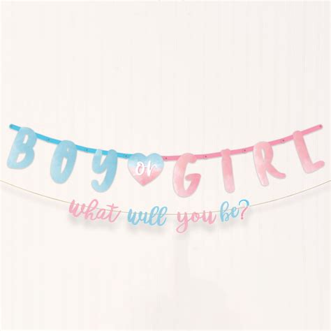 Boy Or Girl Gender Reveal Banner Party Save Smile