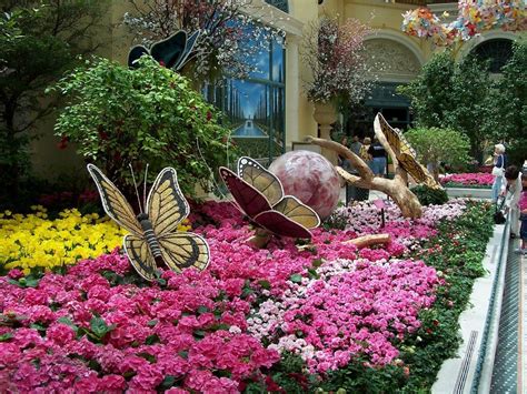 We are a highly respected world class florist specializing in providing the highest quality fresh flowers and plants to. Top 3 Las Vegas Hotels | Las vegas hotels, Bellagio las ...