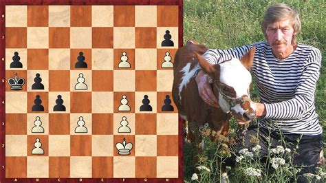 Hardest Chess Puzzle 3 Youtube