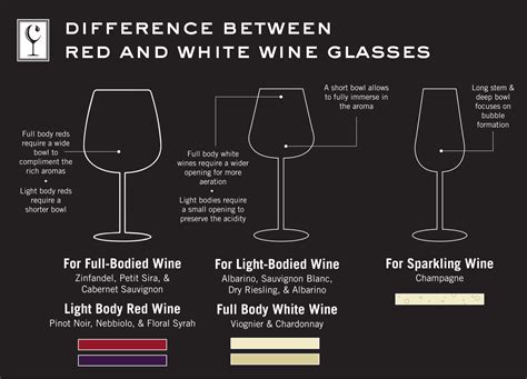 The Difference Between Red And White Wine Glasses Wine Connoisseur Shop