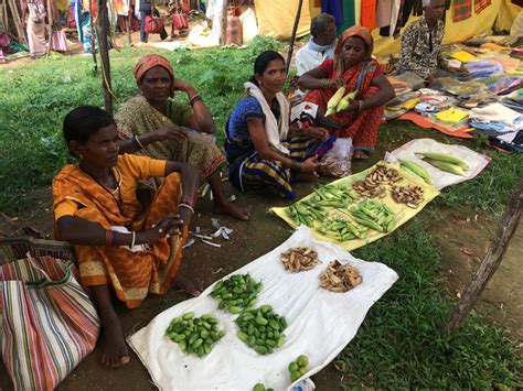 Food Security Solution Lies In Traditional Food Governance Now