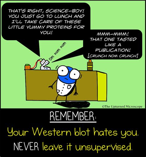 Click On Image For Full Size More Comics Follow The Microscope On