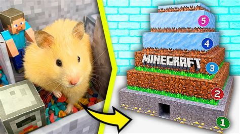 Hamster In Minecraft Pyramid Maze 5 Level Maze For Syrian Hamster