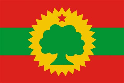 Borana Arsi Guji Oromo Pronunciation Alphabet And Pronunciation