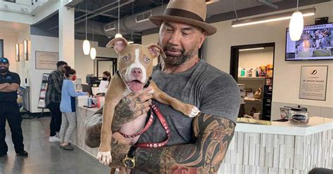 Dave Bautista Adopts Dog Found Tied Up And Offers Reward For Finding