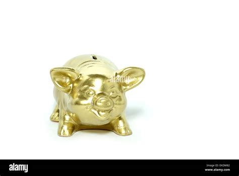 Golden Piggy Bank Stock Photo Alamy