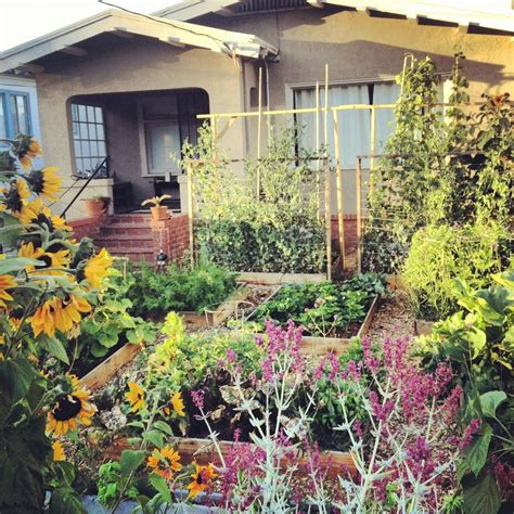 Check spelling or type a new query. The Little Urban Veggie Garden