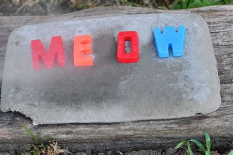 Guidance on pet gravestones and cemetery pet grave markers. Making Your Own Pet Grave Marker (with Pictures) | eHow