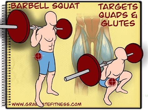 The Barbell Back Squat Form Muscles And Main Benefits Graduate Fitness
