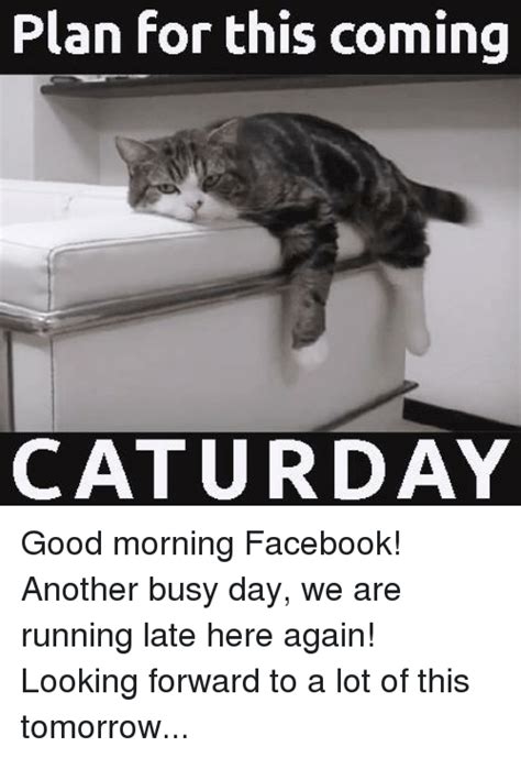 #meme saturday #( i ran out of steam so you get a bullshit answer for the murder question ) #( welcome to jhin: Plan for This Coming CATURDAY Good Morning Facebook! Another Busy Day We Are Running Late Here ...