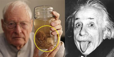 15 Disturbing Facts You Didnt Know About Einstein Therichest