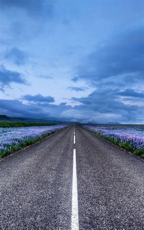 Flower Road Wallpapers Top Free Flower Road Backgrounds Wallpaperaccess